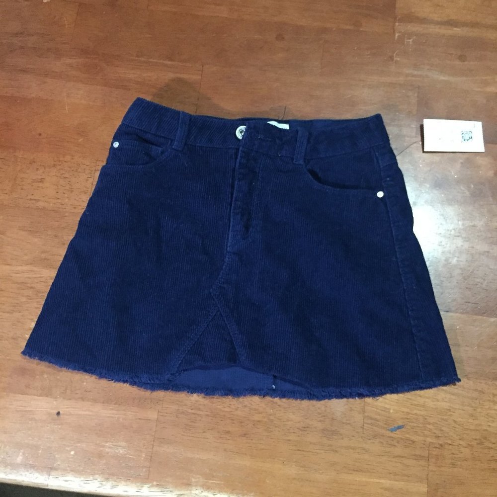 Blue Zara Skirt